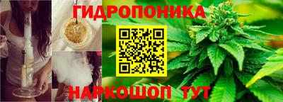 скорость Владимир