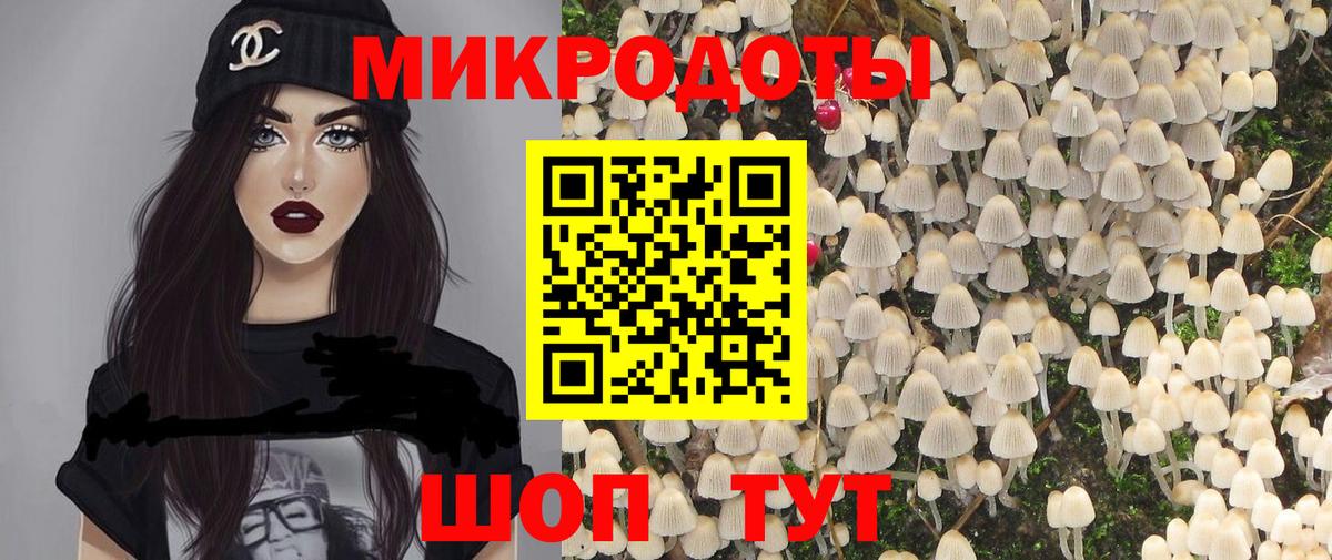 Славгород  Псилоцибиновые грибы Magic Shrooms  Псилоцибиновые грибы Magic Shrooms  Вход с VPN 